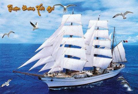 DT F086